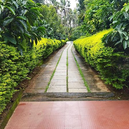 Wayanad Green Park Resort Ambalavayal Номер фото