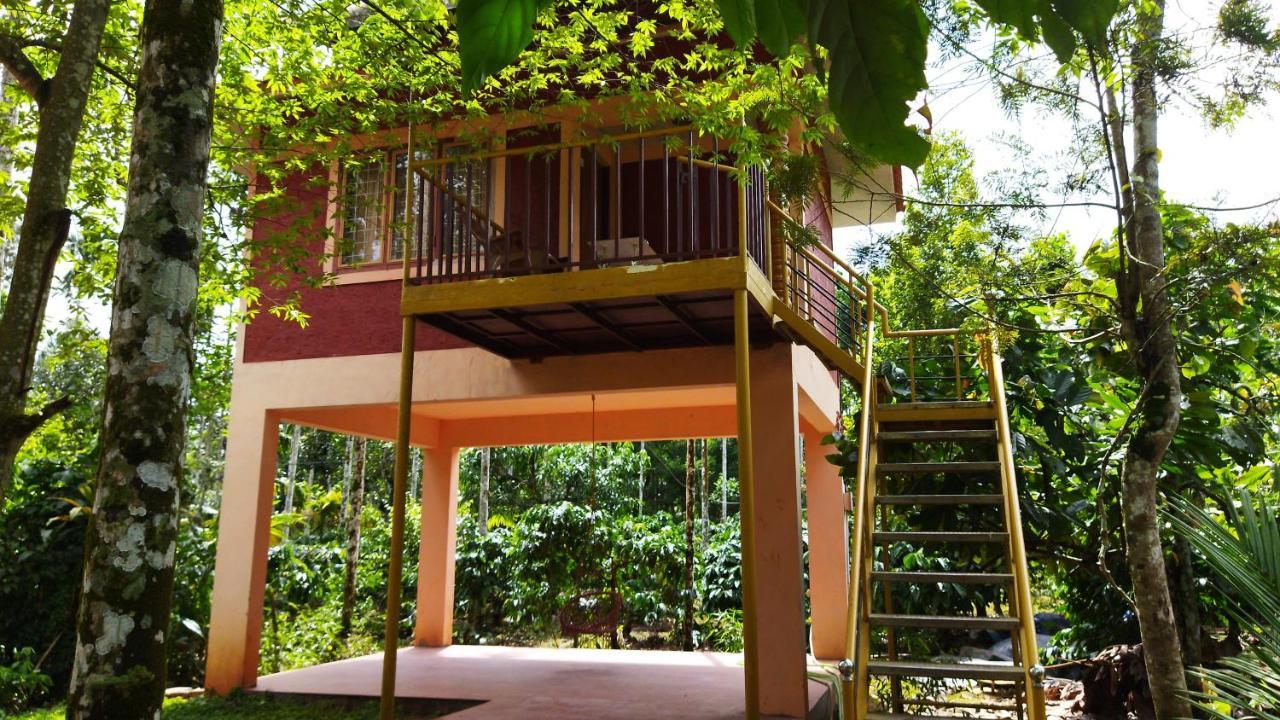 Wayanad Green Park Resort Ambalavayal Екстер'єр фото