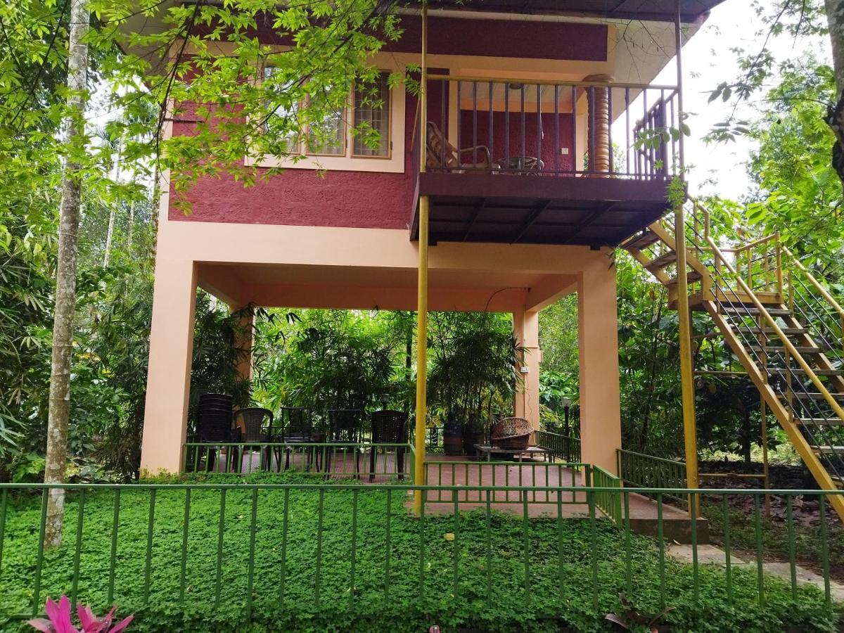 Wayanad Green Park Resort Ambalavayal Екстер'єр фото