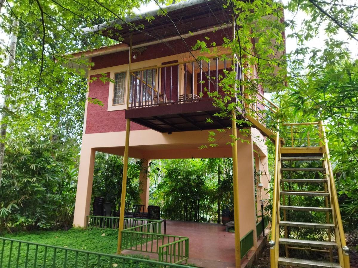 Wayanad Green Park Resort Ambalavayal Екстер'єр фото
