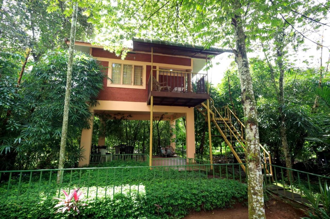 Wayanad Green Park Resort Ambalavayal Екстер'єр фото