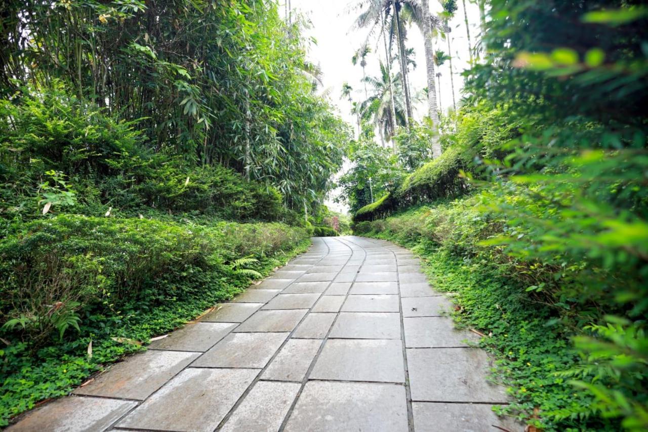 Wayanad Green Park Resort Ambalavayal Екстер'єр фото