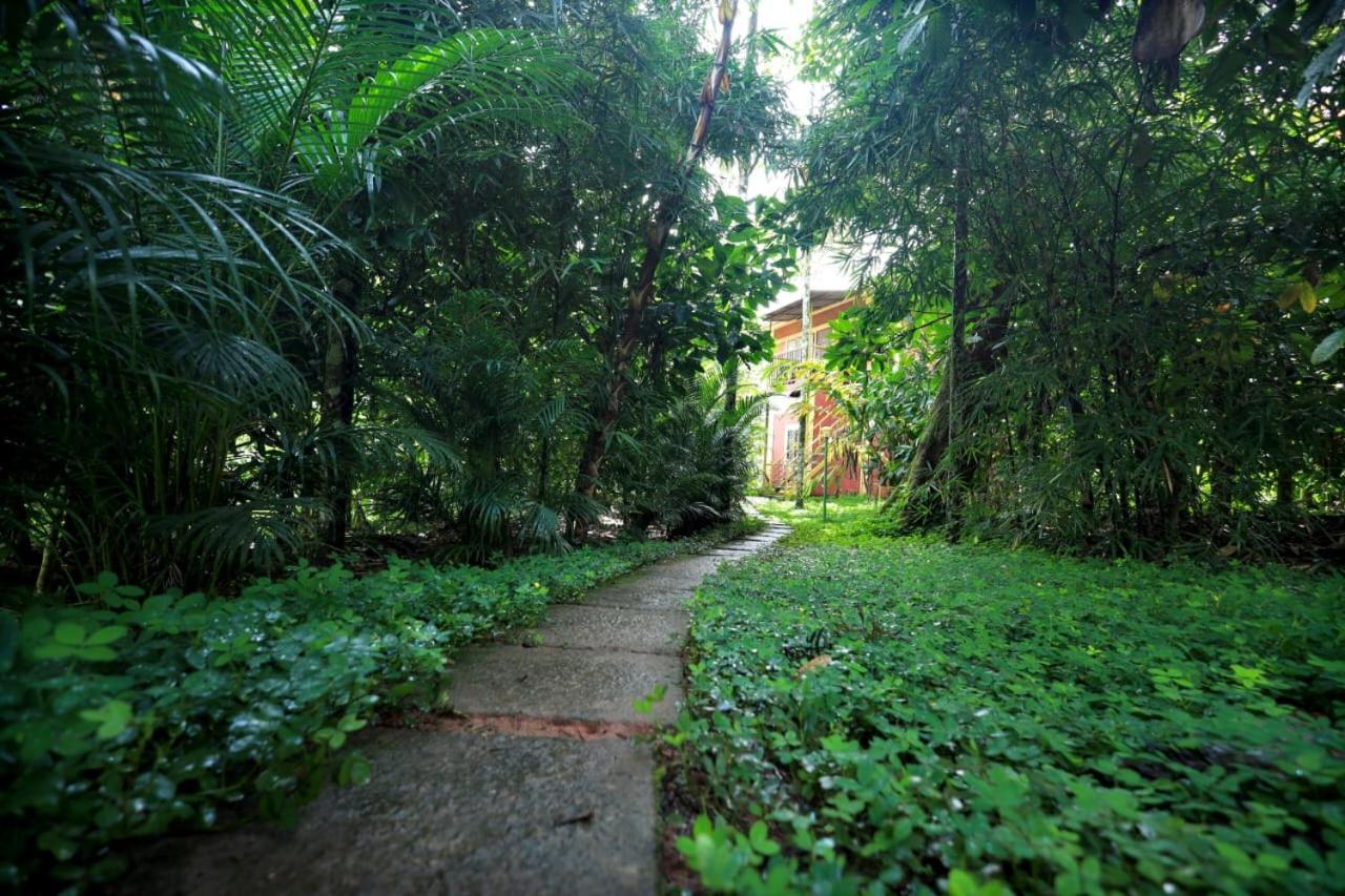 Wayanad Green Park Resort Ambalavayal Екстер'єр фото