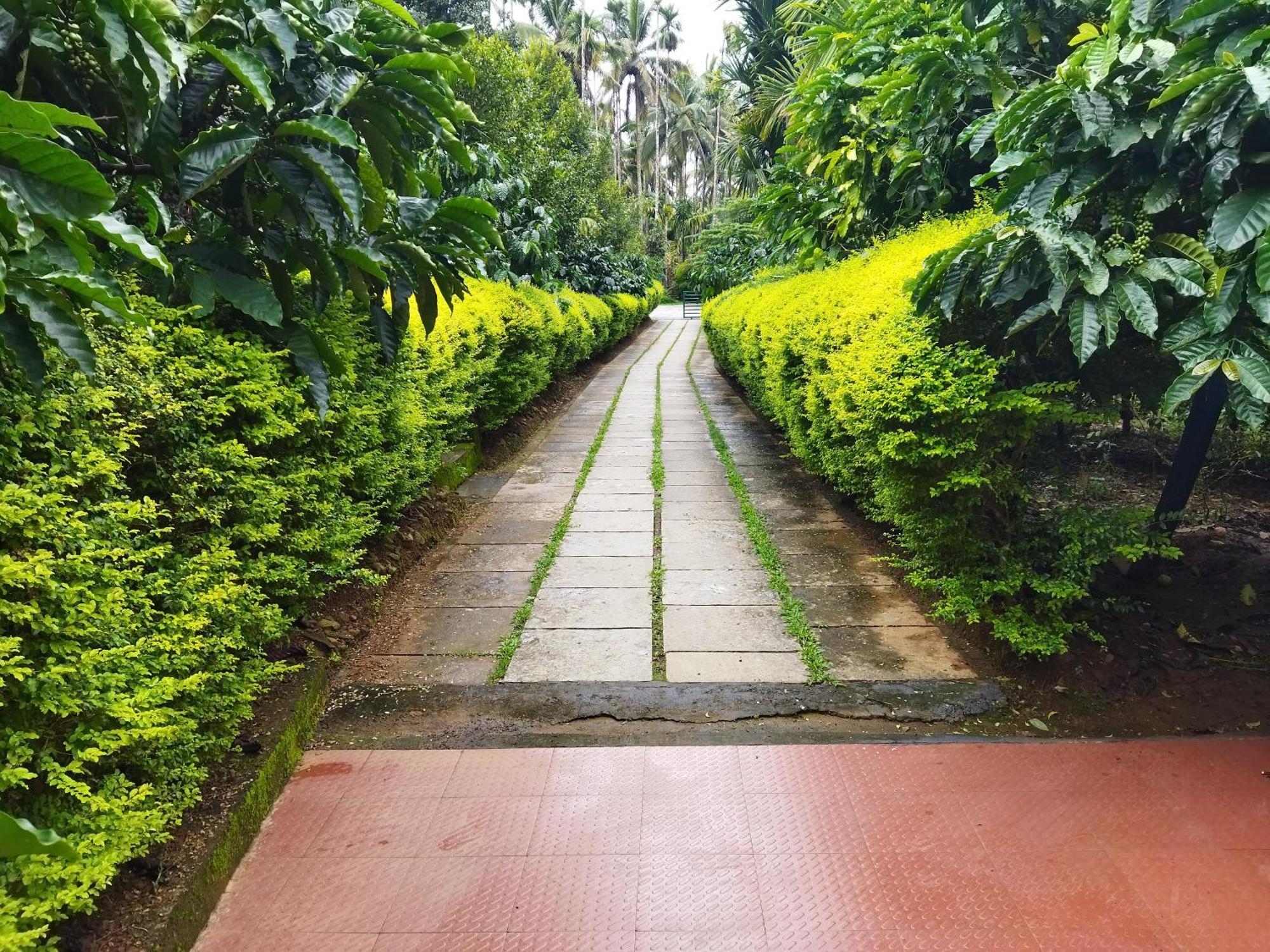 Wayanad Green Park Resort Ambalavayal Номер фото