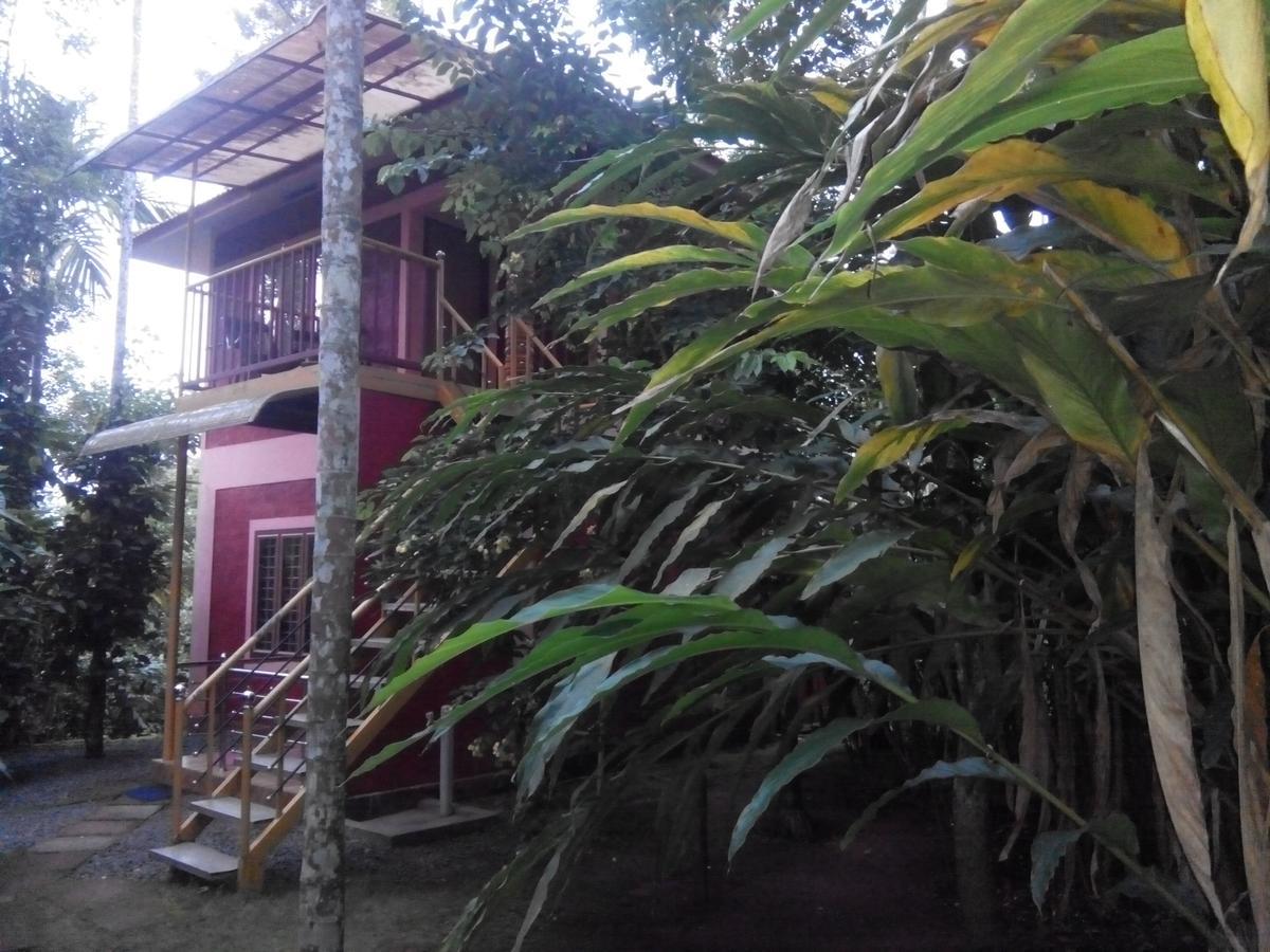 Wayanad Green Park Resort Ambalavayal Екстер'єр фото