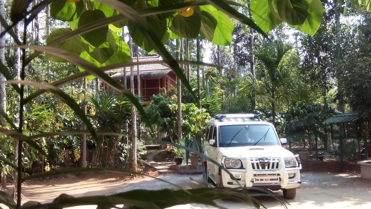 Wayanad Green Park Resort Ambalavayal Екстер'єр фото