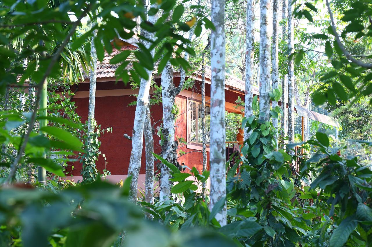 Wayanad Green Park Resort Ambalavayal Екстер'єр фото
