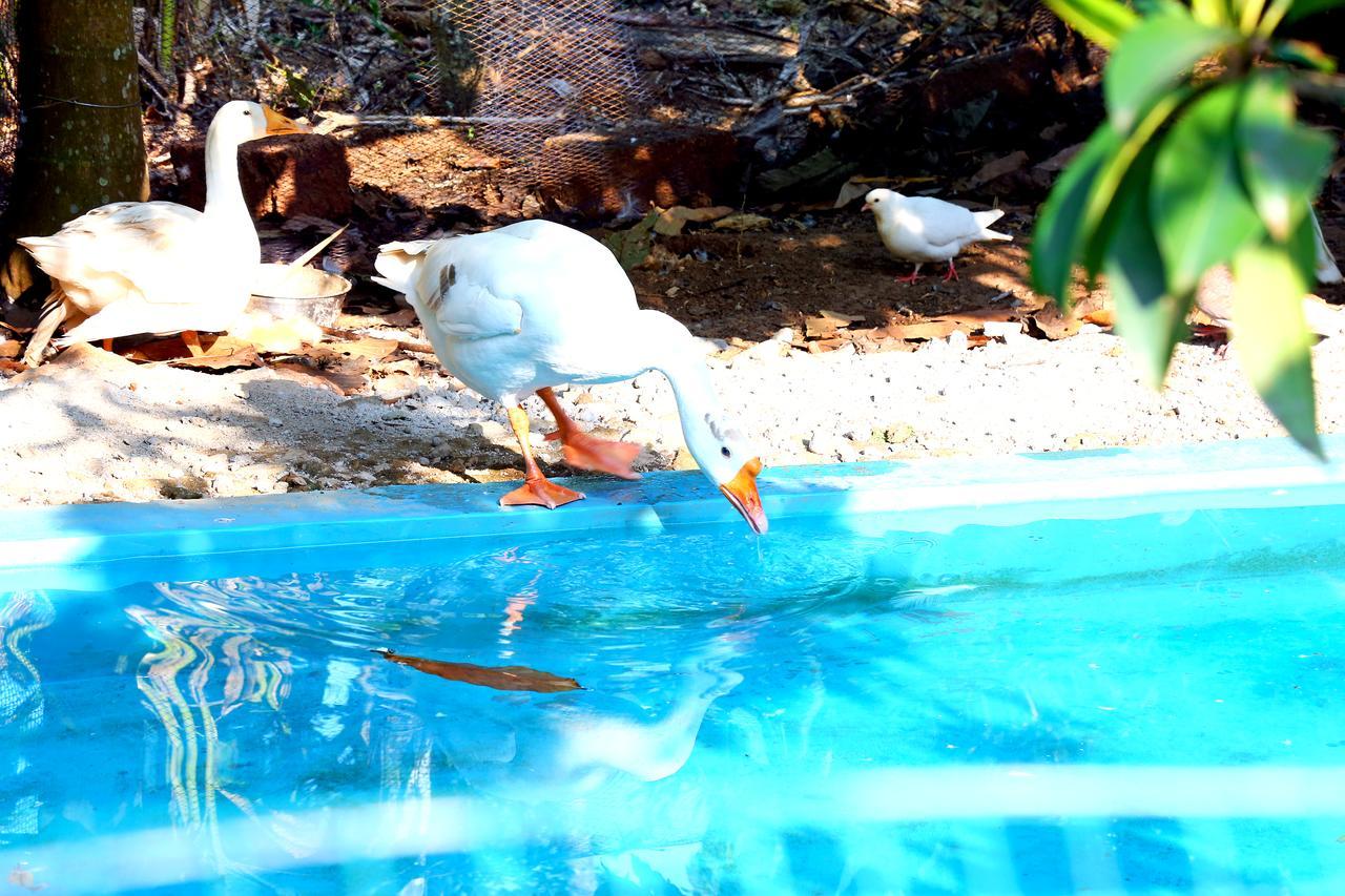 Wayanad Green Park Resort Ambalavayal Екстер'єр фото