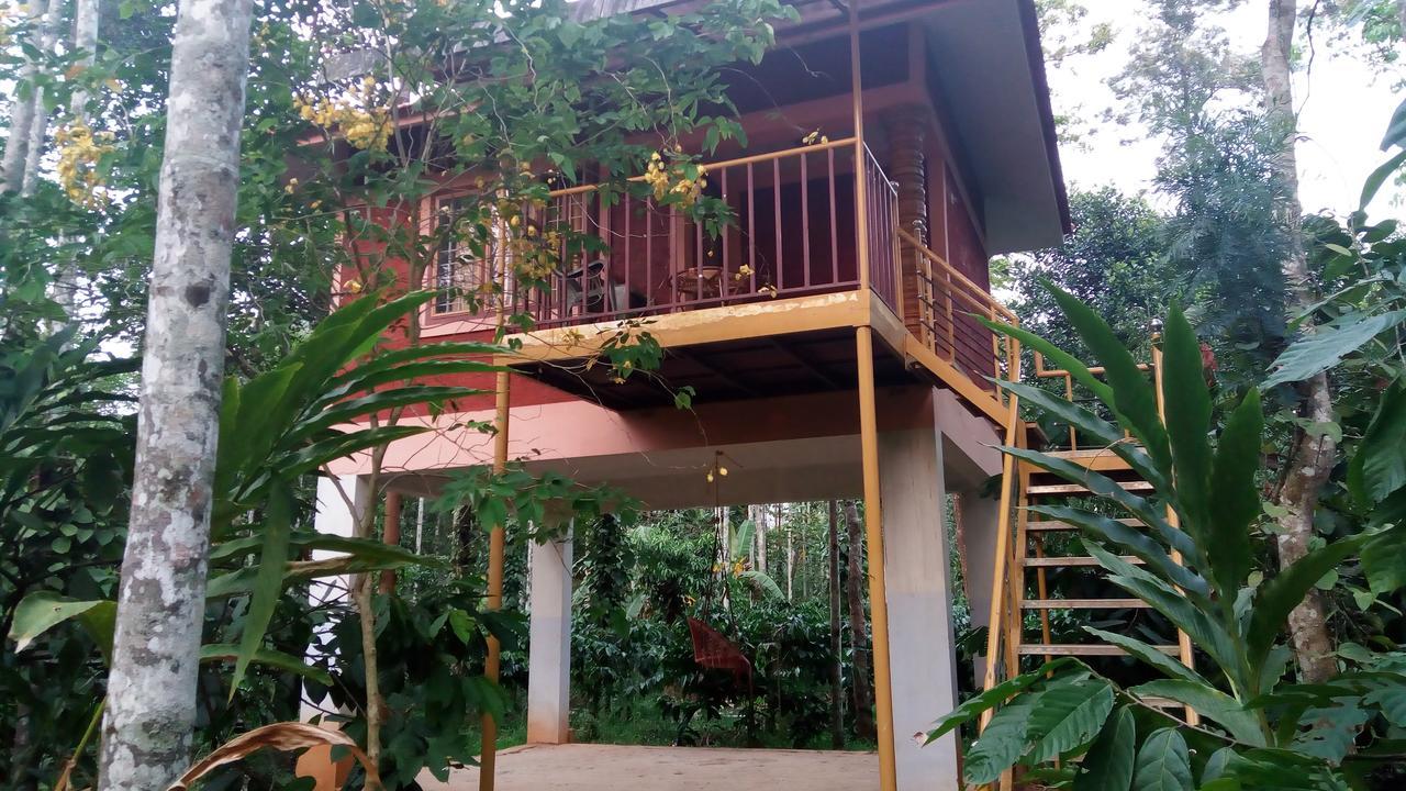 Wayanad Green Park Resort Ambalavayal Екстер'єр фото